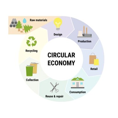 A chart showing the relationship cycle in the circular economy, starting with raw materials, then design, production, retail, consumption, reuse and repair, collection and recycling