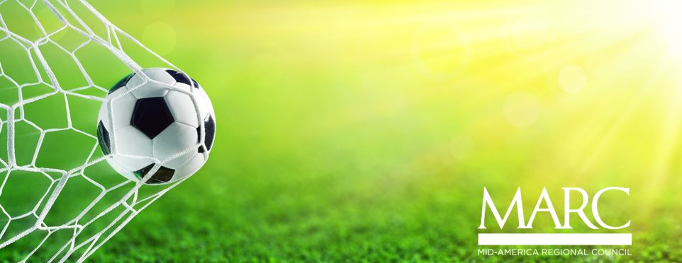 A soccer ball flies into a net. 